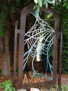 spider and web