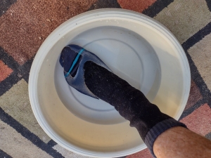 Sock Water Test